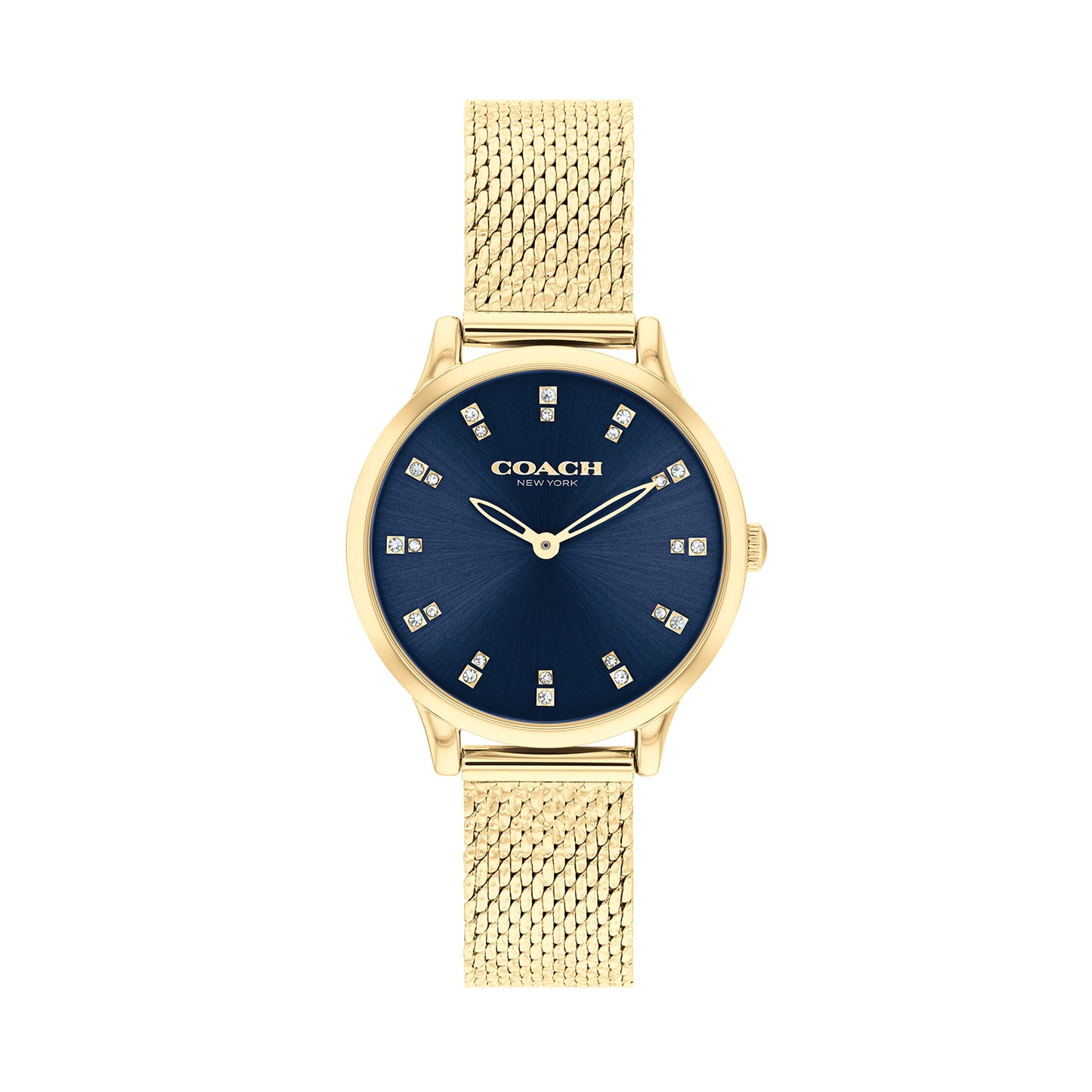 Coach 14504218 Women's Ionic Thin Gold Plated Steel Mesh Watch