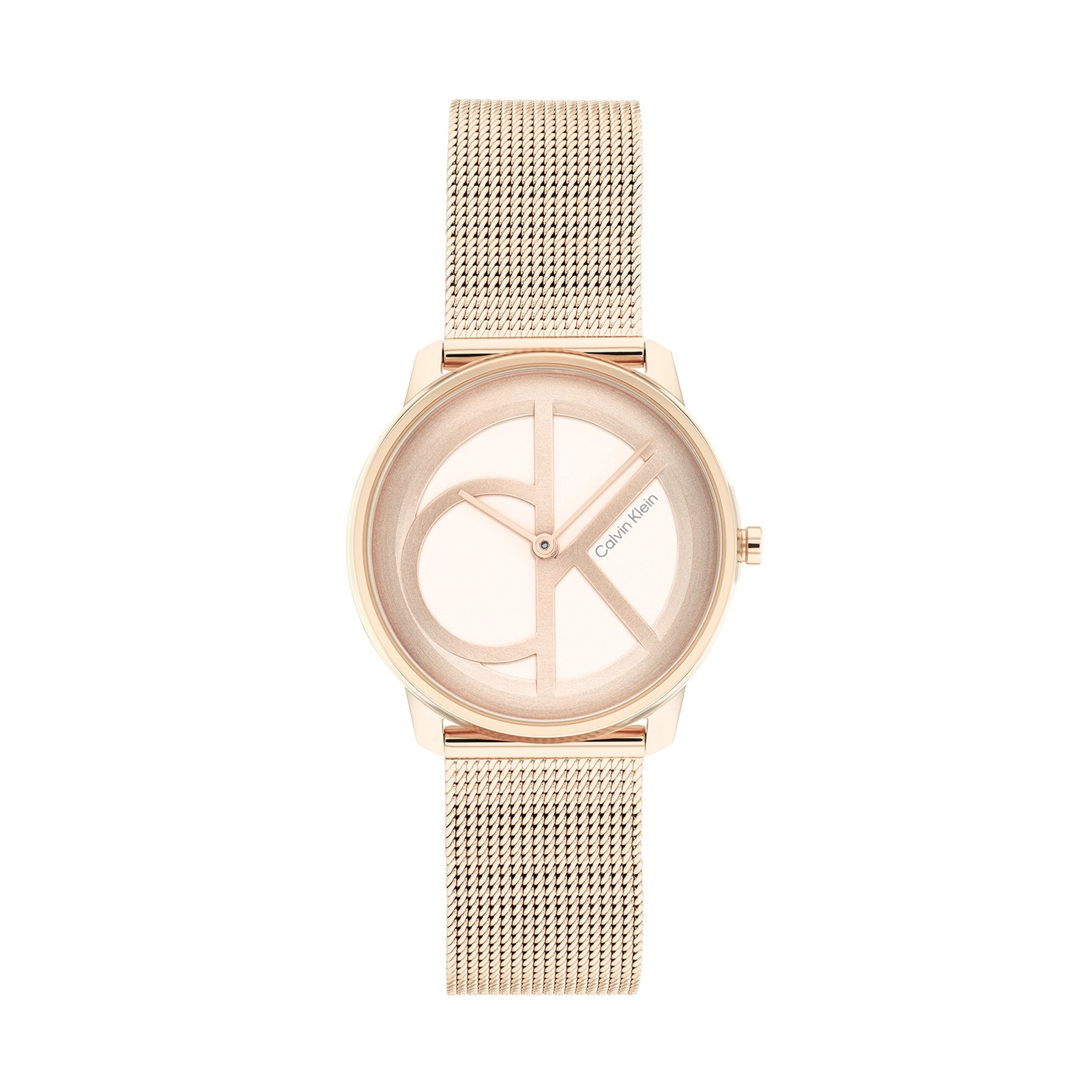 Calvin Klein 25200035 Unisex Steel Mesh Watch – The Watch Store