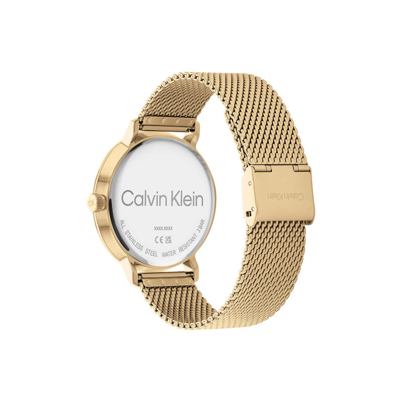 Calvin Klein 25200049 Men's Steel Mesh Watch