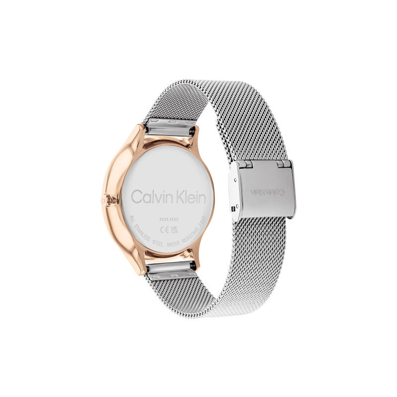 Calvin Klein 25200106 Women's Steel Mesh Watch