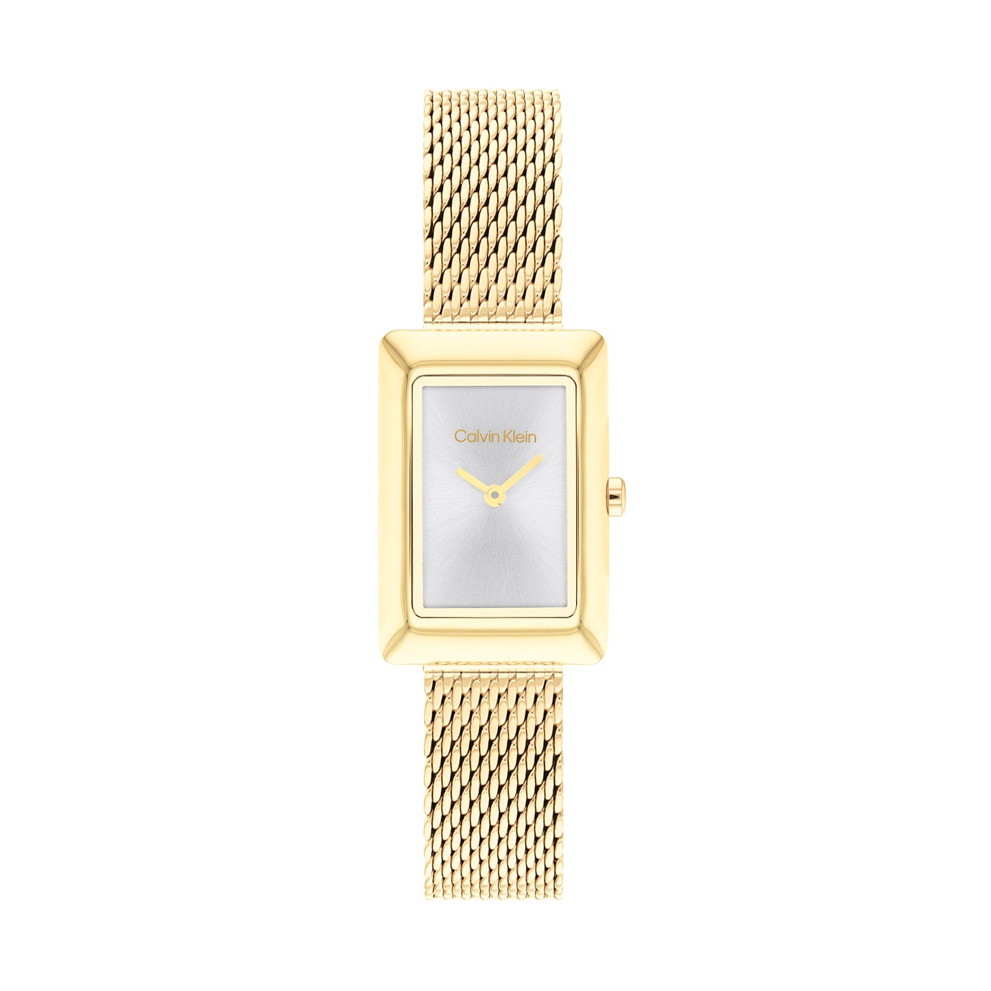Calvin Klein 25200396 Women's Ionic Thin Gold Plated Steel Mesh Watch