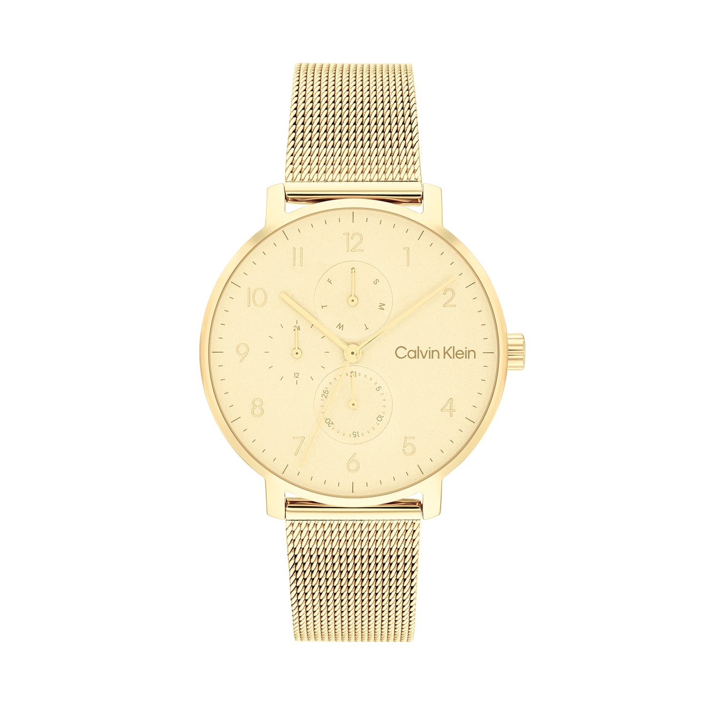 Calvin Klein 25200403 Unisex Ionic Thin Gold Plated Steel Mesh Watch