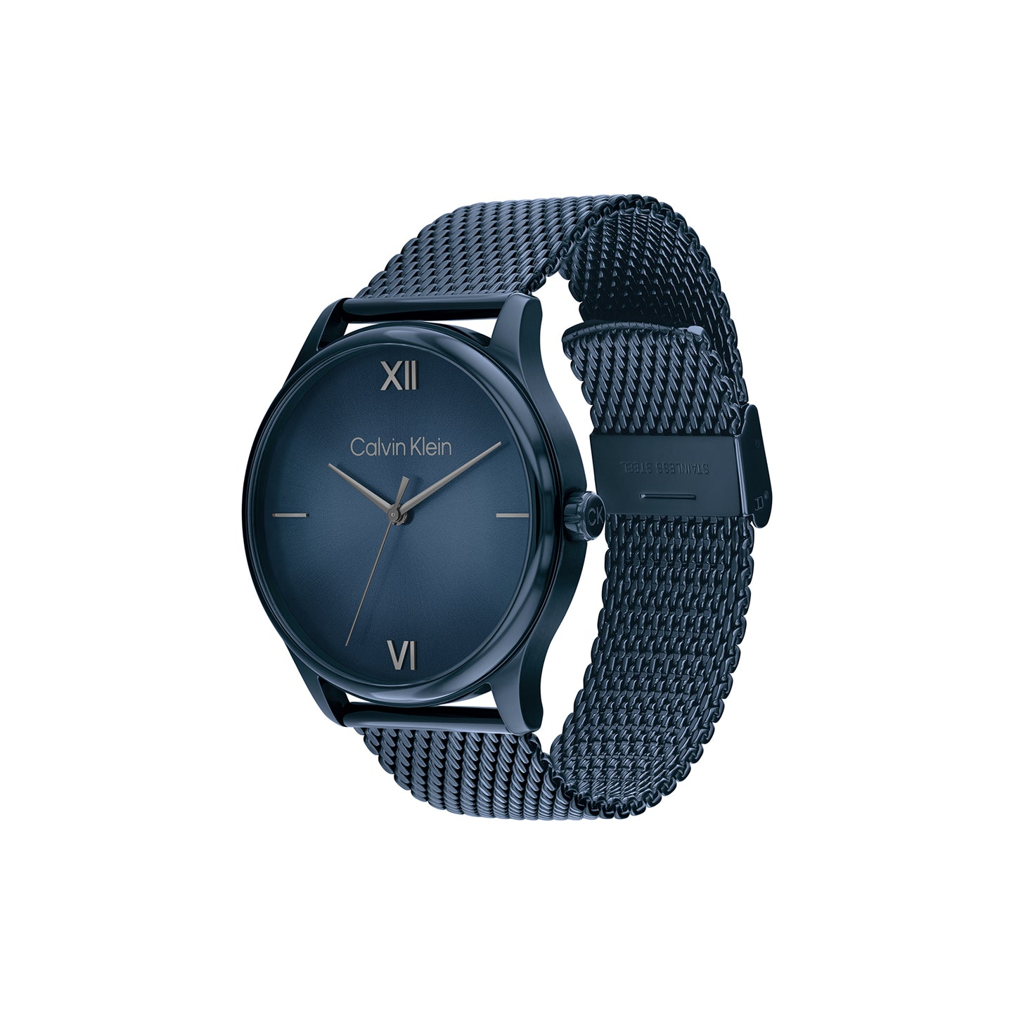 Calvin Klein 25200451 Men's Ionic Plated Blue Steel Mesh Watch
